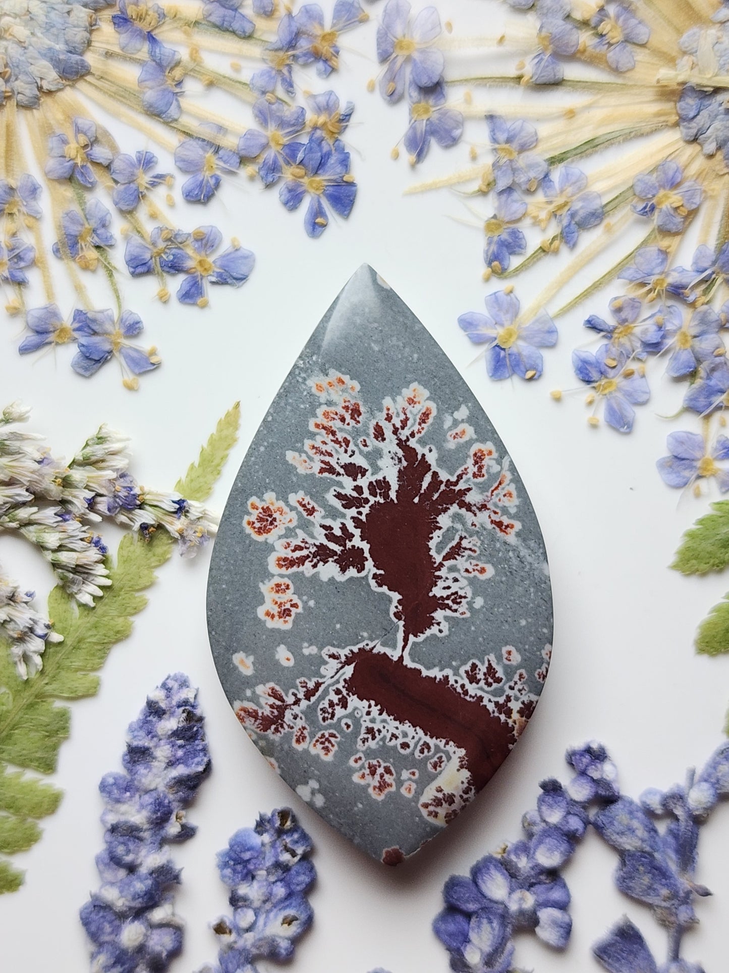 Sonoran Dendritic Rhyolite
