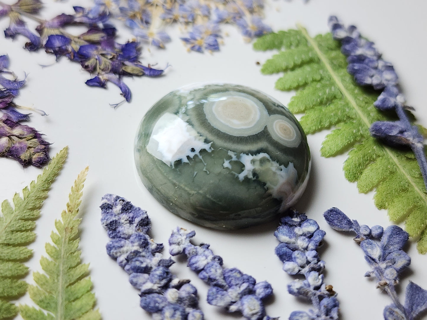 Ocean jasper