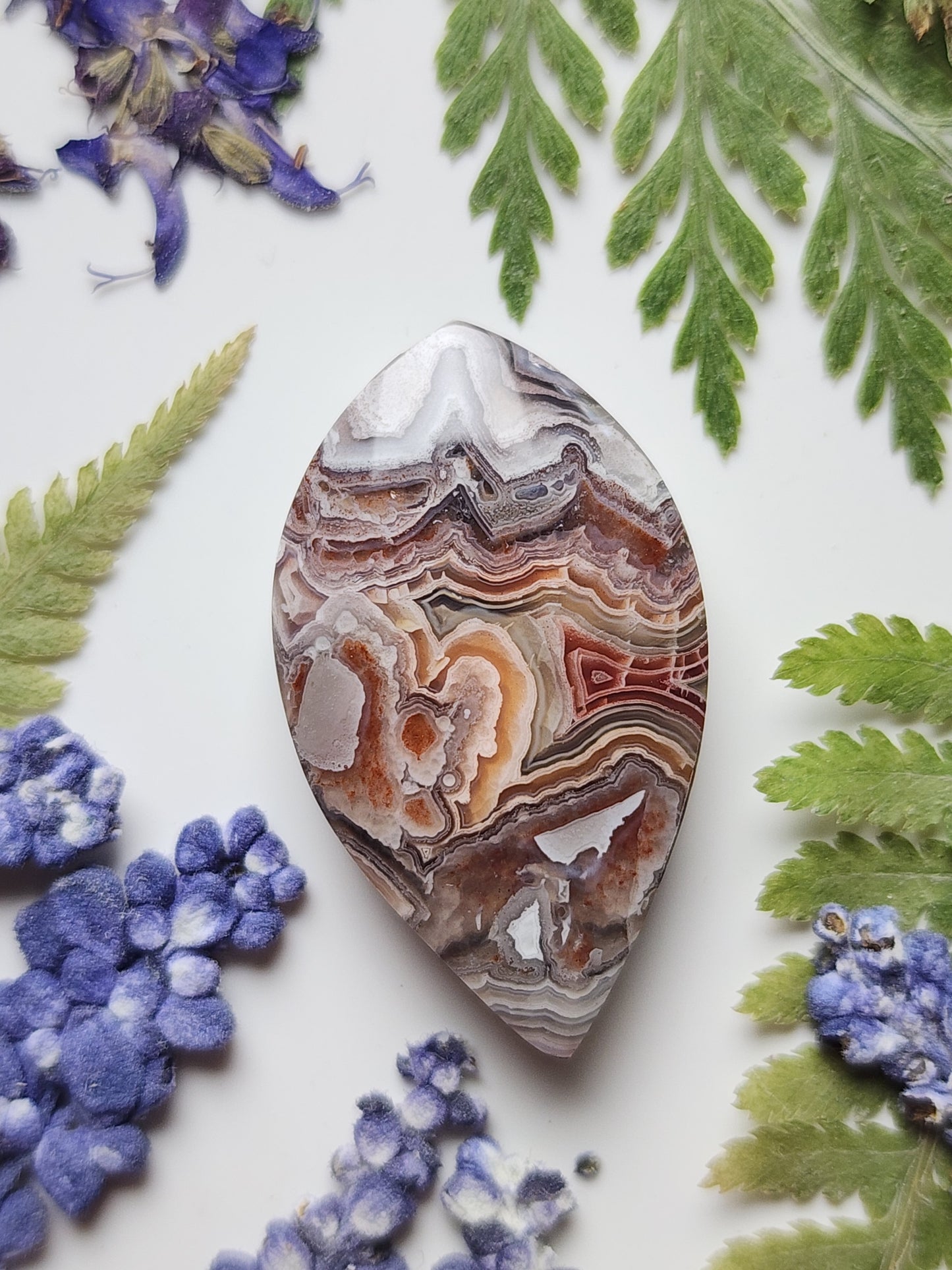 Laguna lace agate
