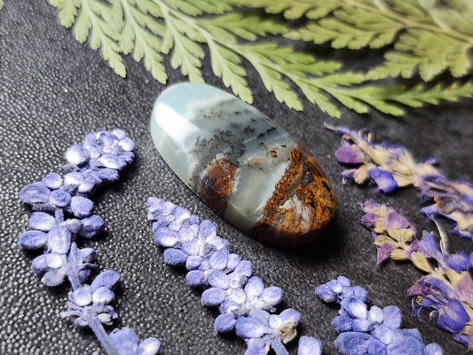 BC Ocean Picture Stone