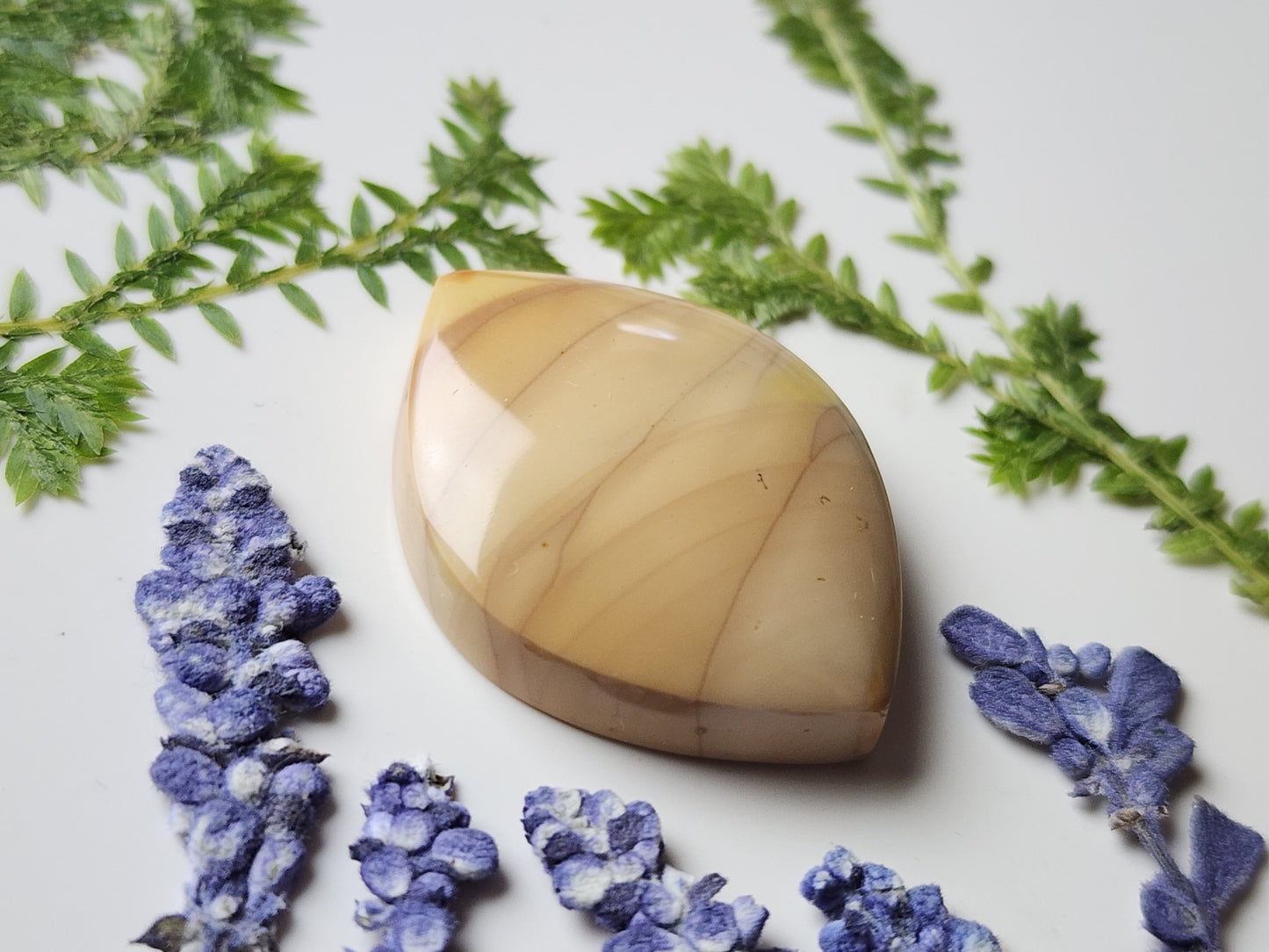 Willow Creek jasper