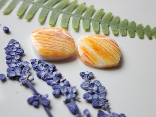 Spiny shell oyster pair