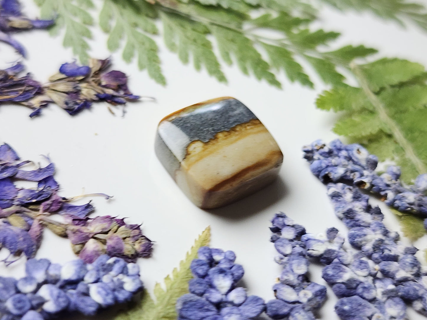 Starry night picture jasper