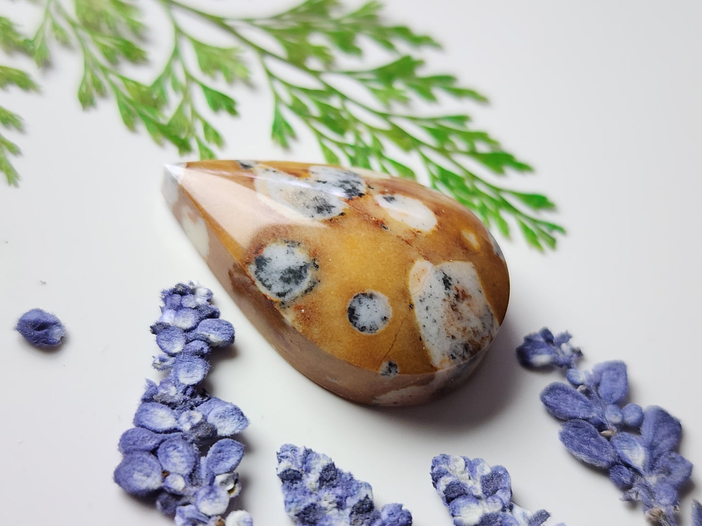 Spotted Fawn jasper