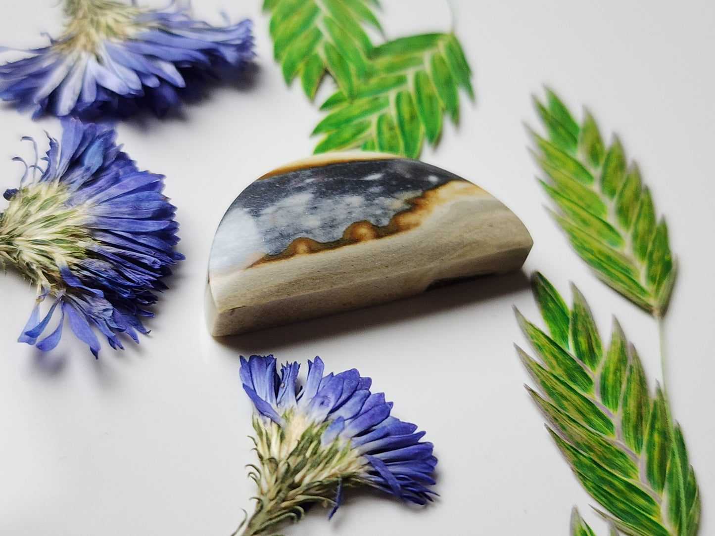 Starry night picture jasper