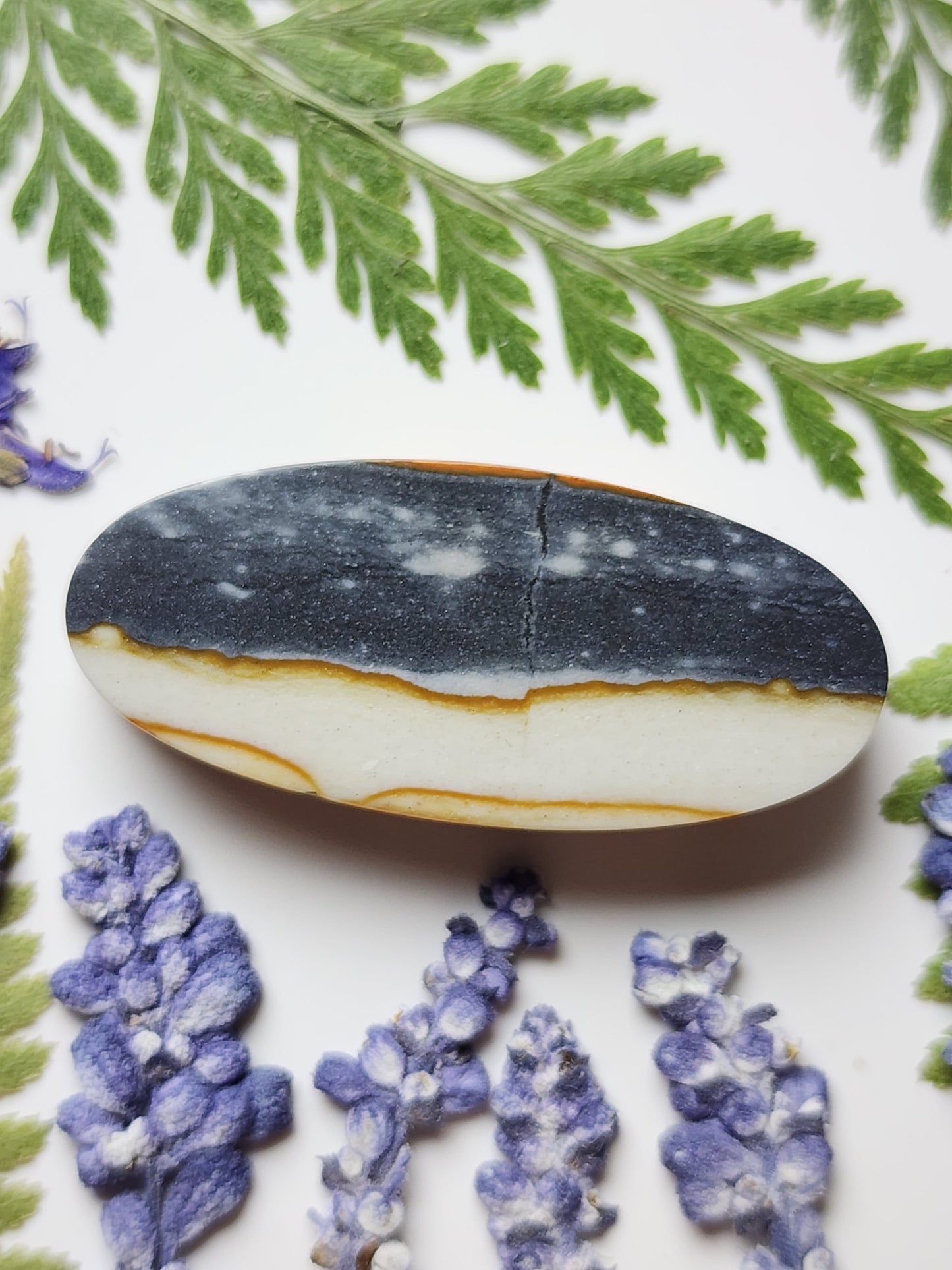 Starry night picture jasper