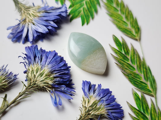 BC Ocean picture stone