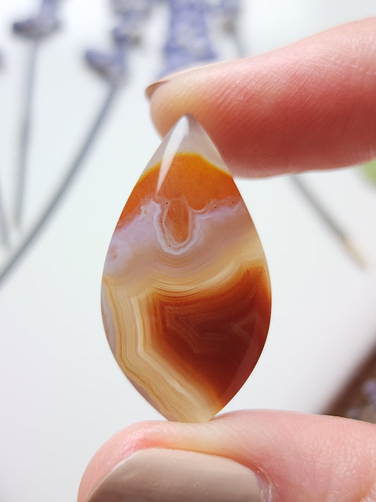 Agua Nueva agate