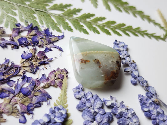 BC Ocean picture stone