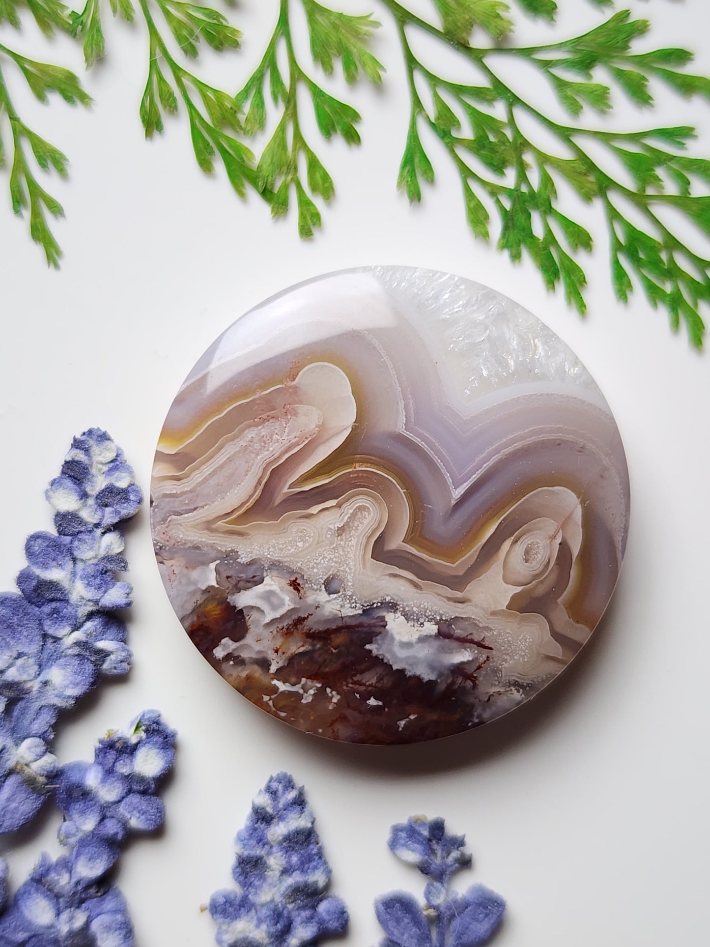 Agua Nueva agate