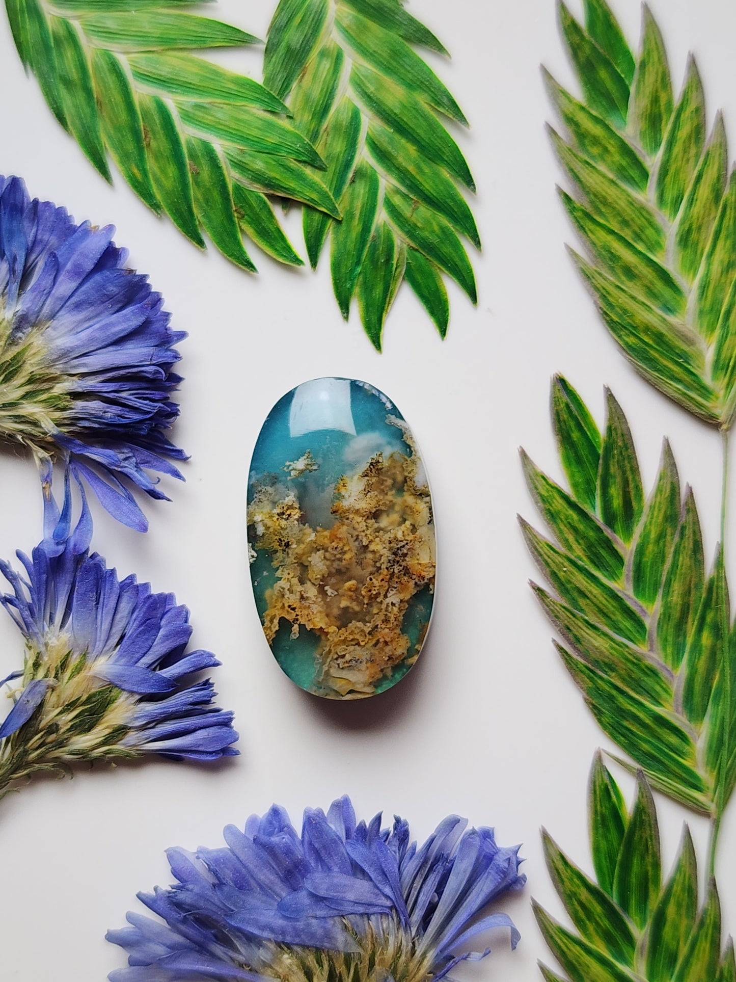 Bella Vista plume agate Doublet