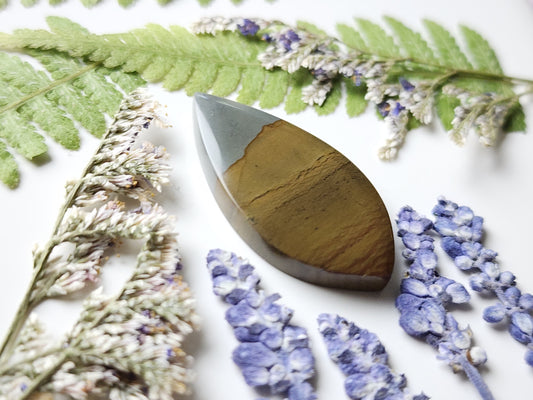 Spring Mountain picture jasper