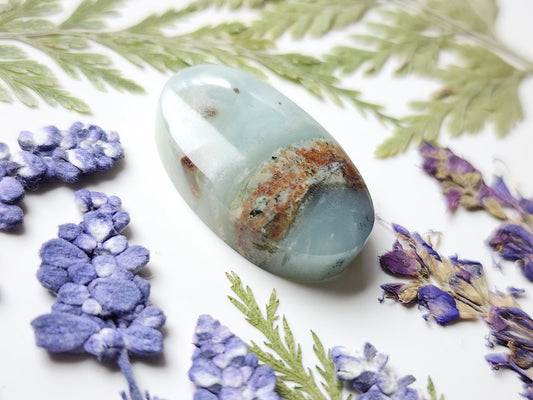 BC Ocean picture stone