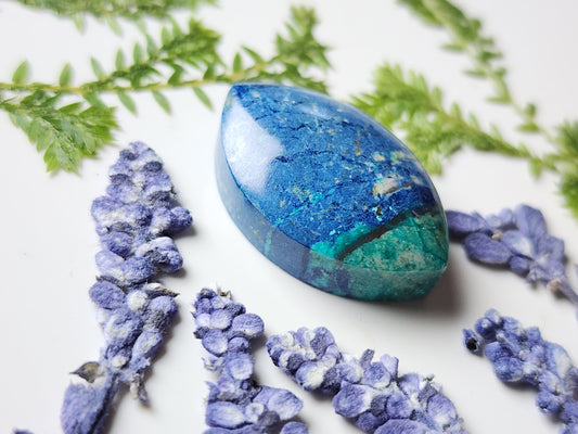 Bluebird Azurite Chrysocolla