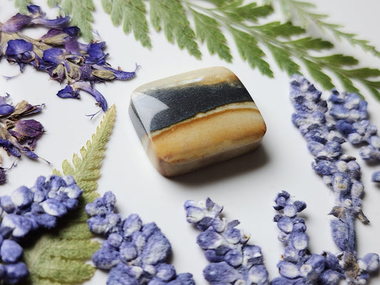 Starry night picture jasper