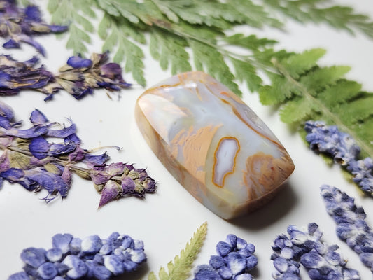 Brecciated Ibis jasper