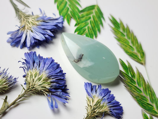 BC Ocean picture stone