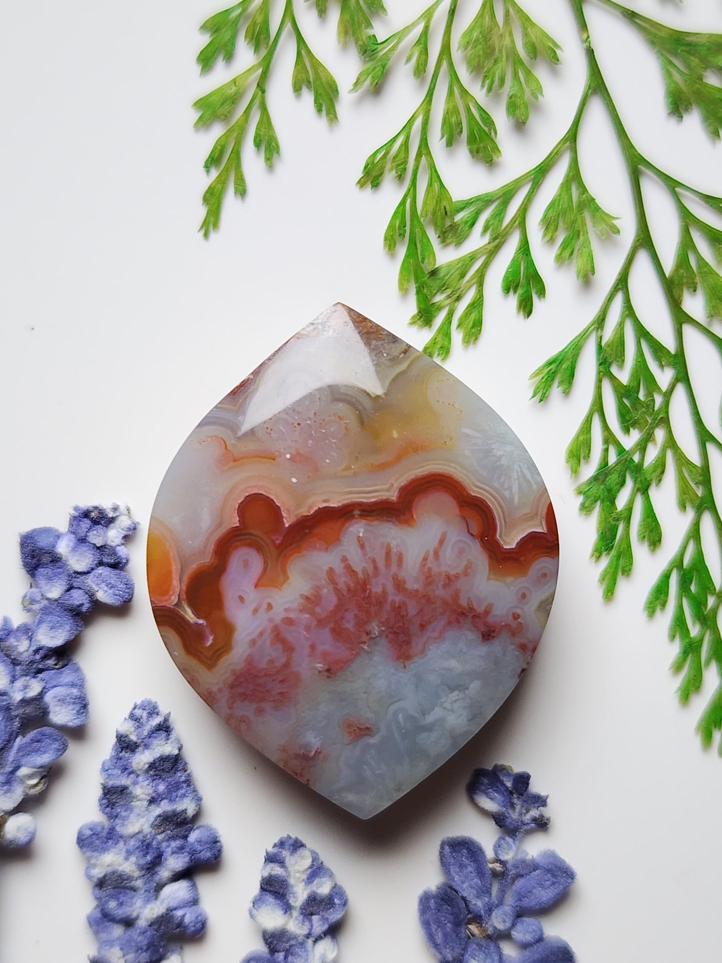 Crazy lace agate