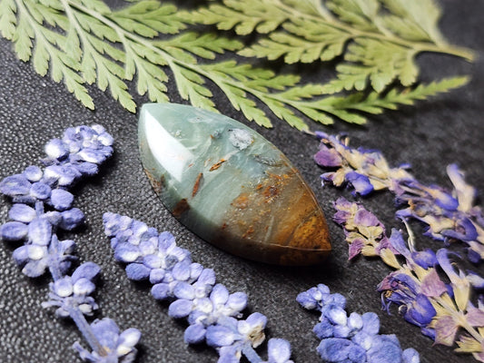 BC Ocean Picture Stone