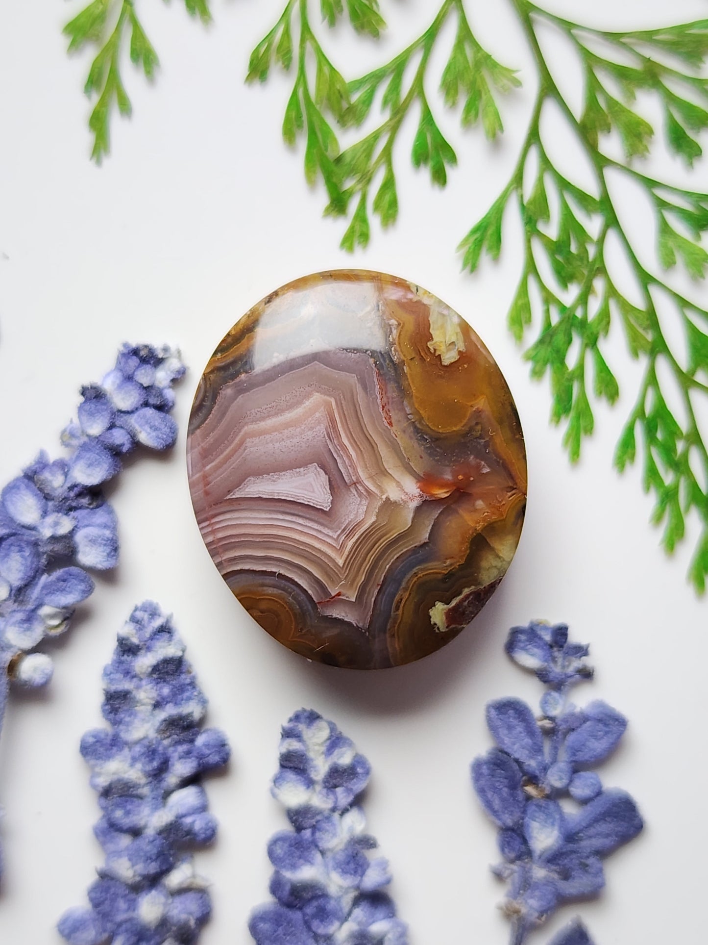Agua Nueva agate