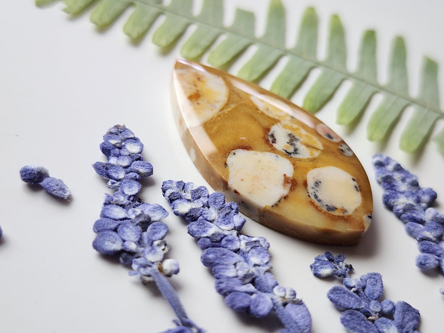 Spotted fawn jasper