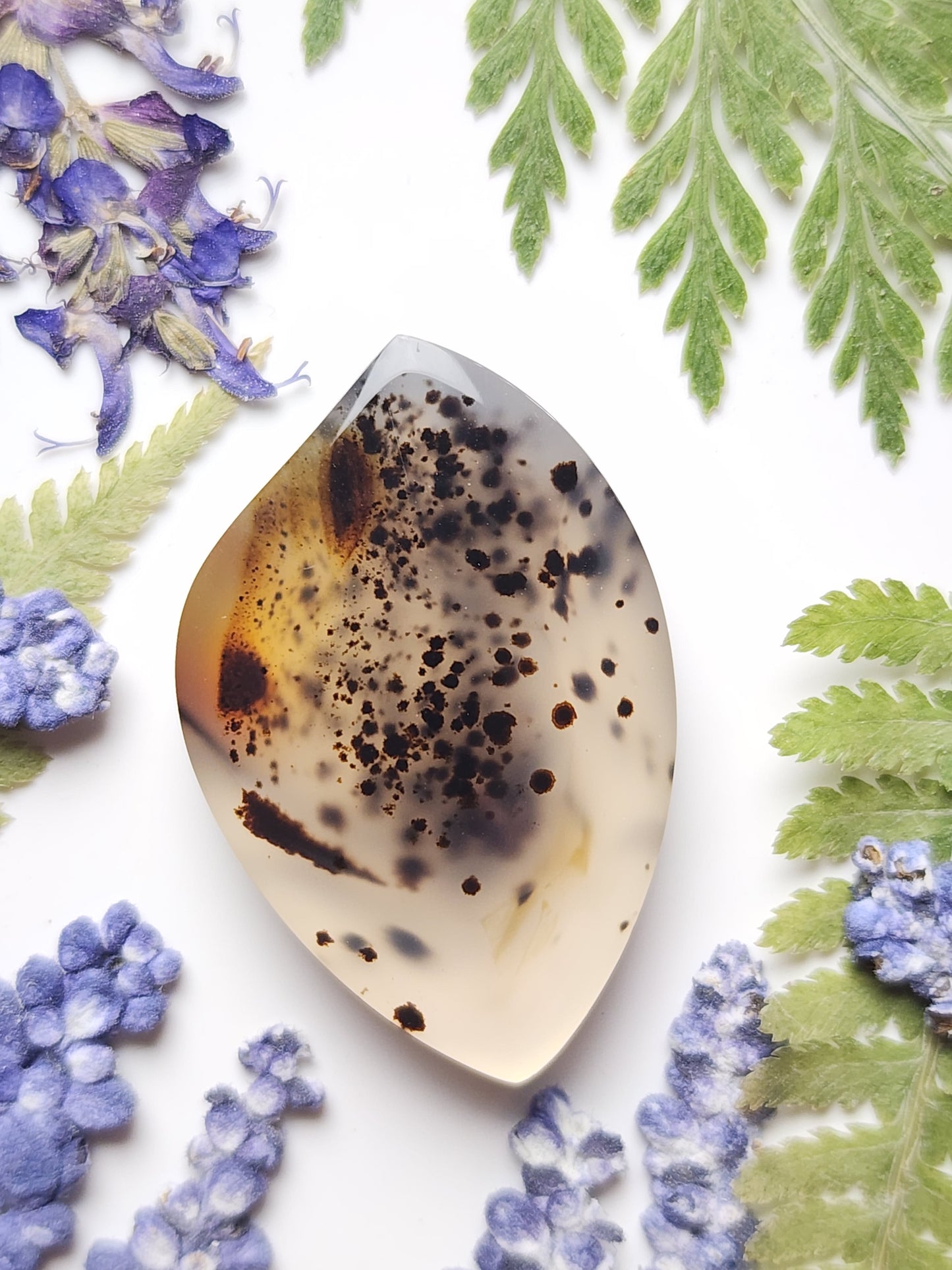 Montana agate