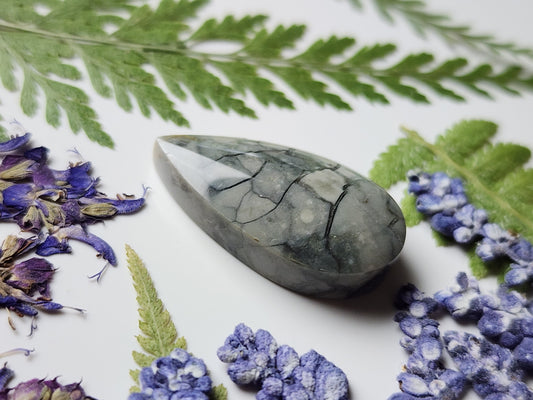 Brecciated Ibis jasper