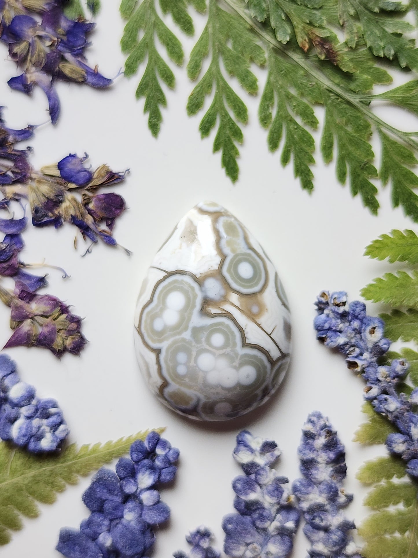 Ocean jasper