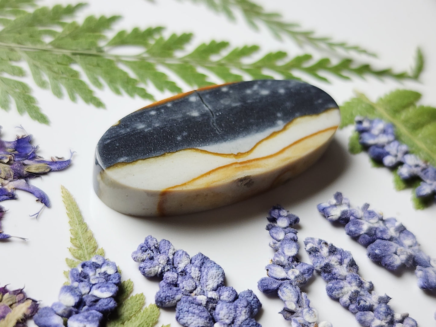 Starry night picture jasper