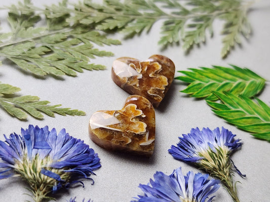 Suture Ammonite heart pair