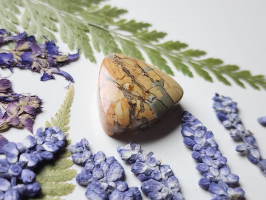 Brecciated Ibis jasper