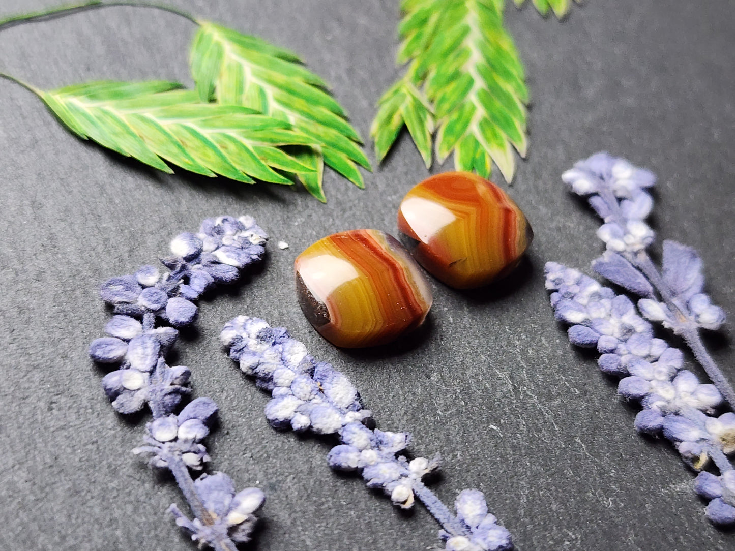 Agua Nueva agate pair