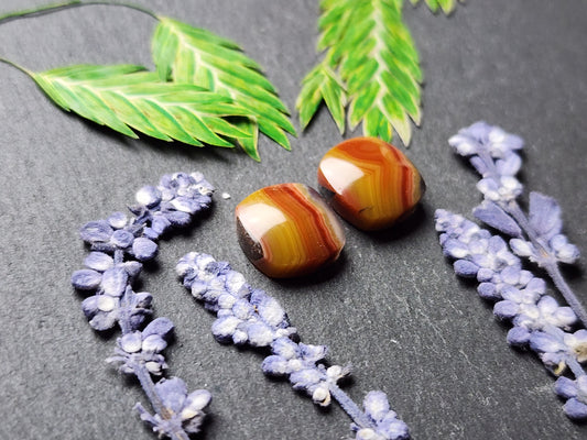 Agua Nueva agate pair