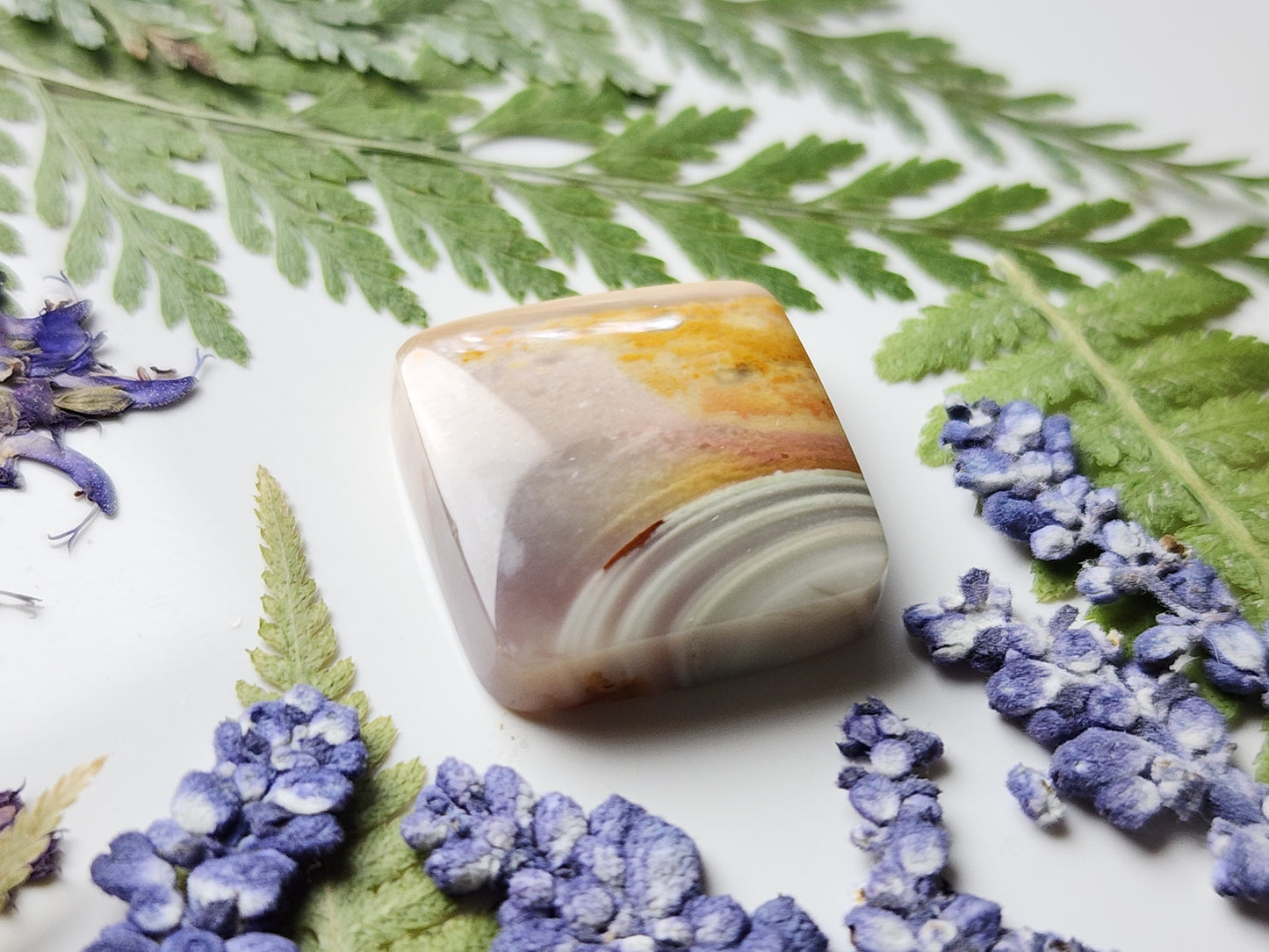 Polychrome jasper