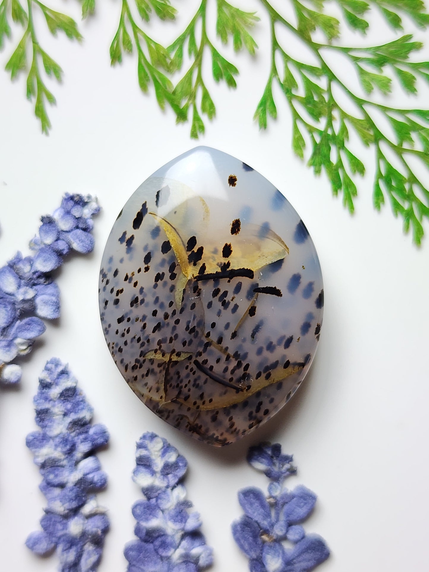 Montana agate