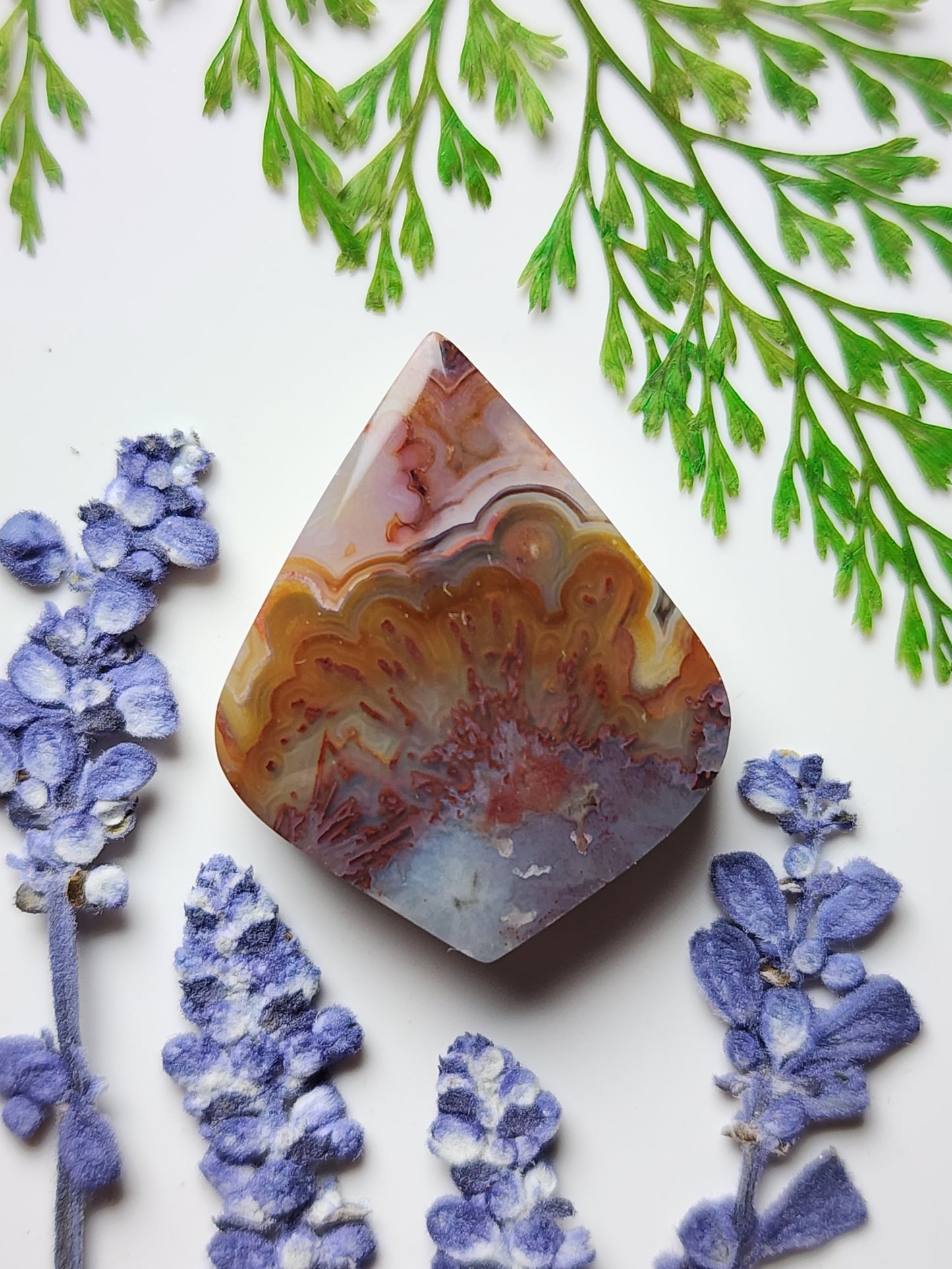 Crazy lace agate