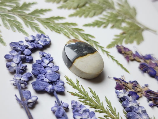 Starry night picture jasper