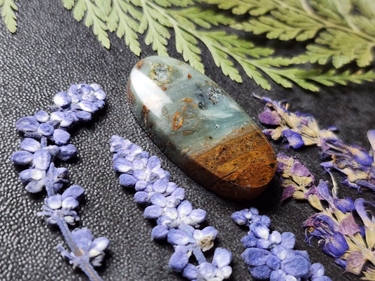 BC Ocean Picture Stone