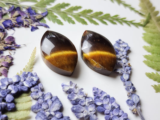 Tiger's eye pair
