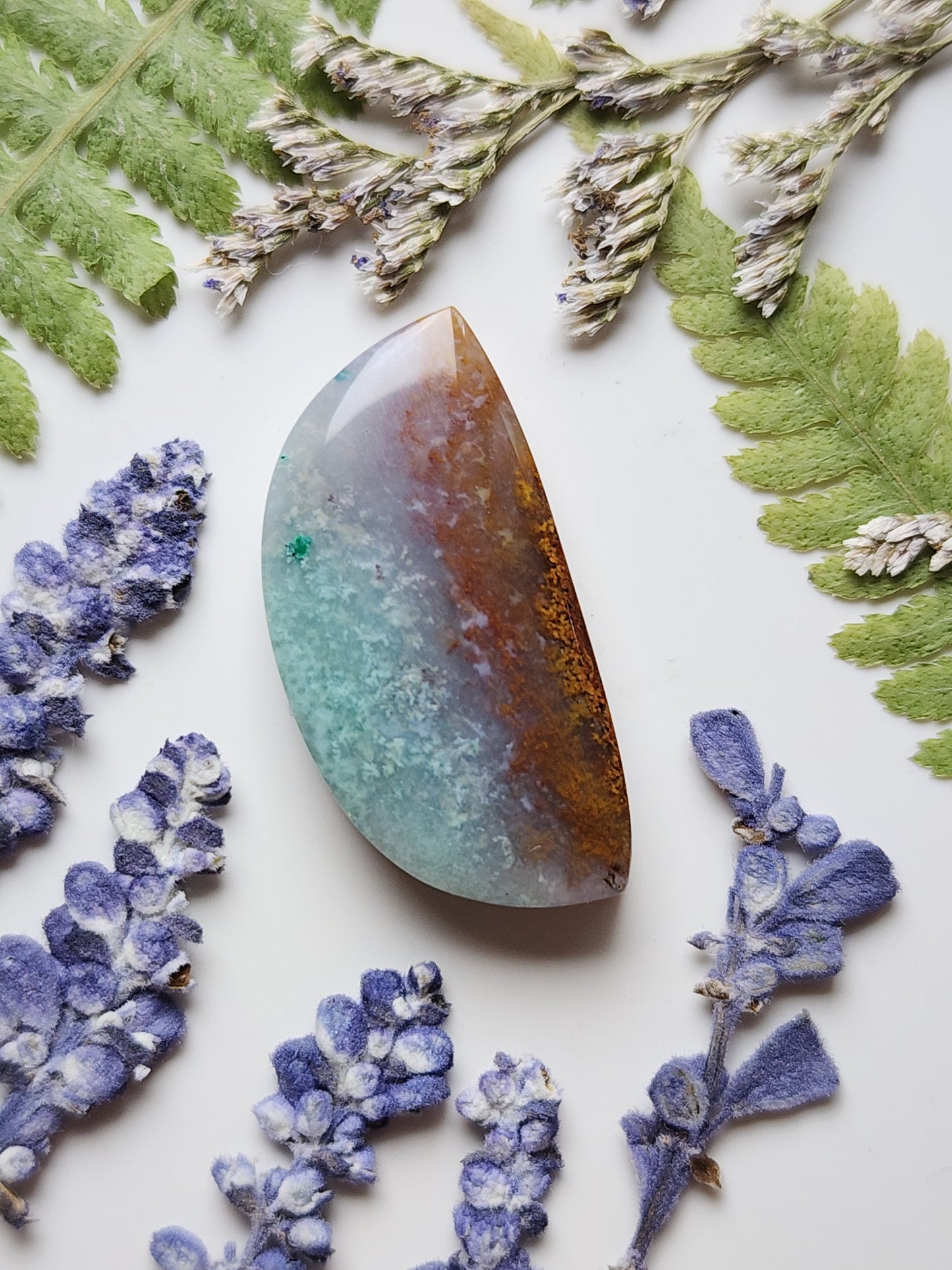 Petrified Blue opalized wood