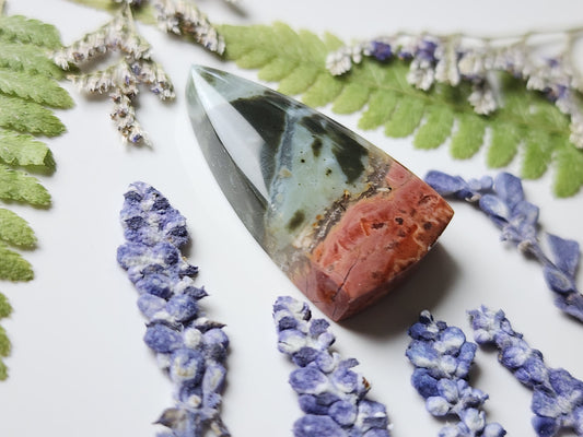 Brecciated Polychrome jasper