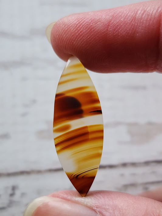 Montana agate