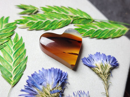 Montana agate heart