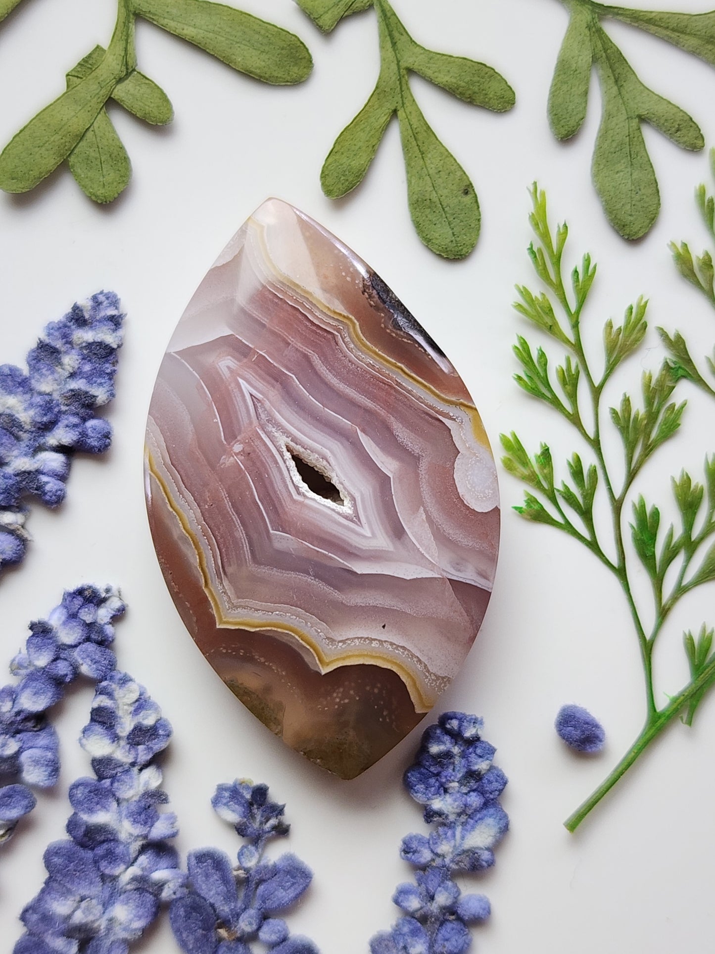 Agua Nueva agate