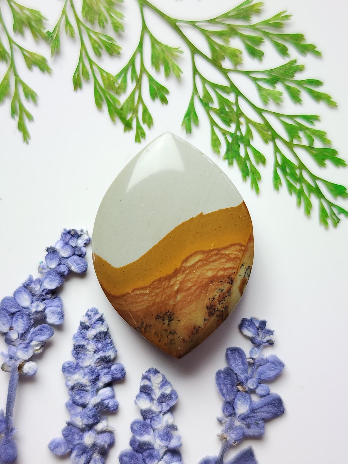 Owyhee picture jasper