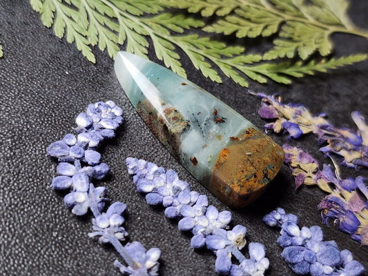 BC Ocean Picture Stone