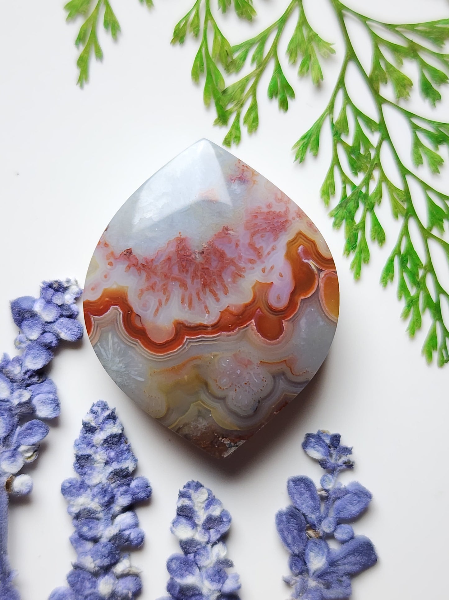 Crazy lace agate