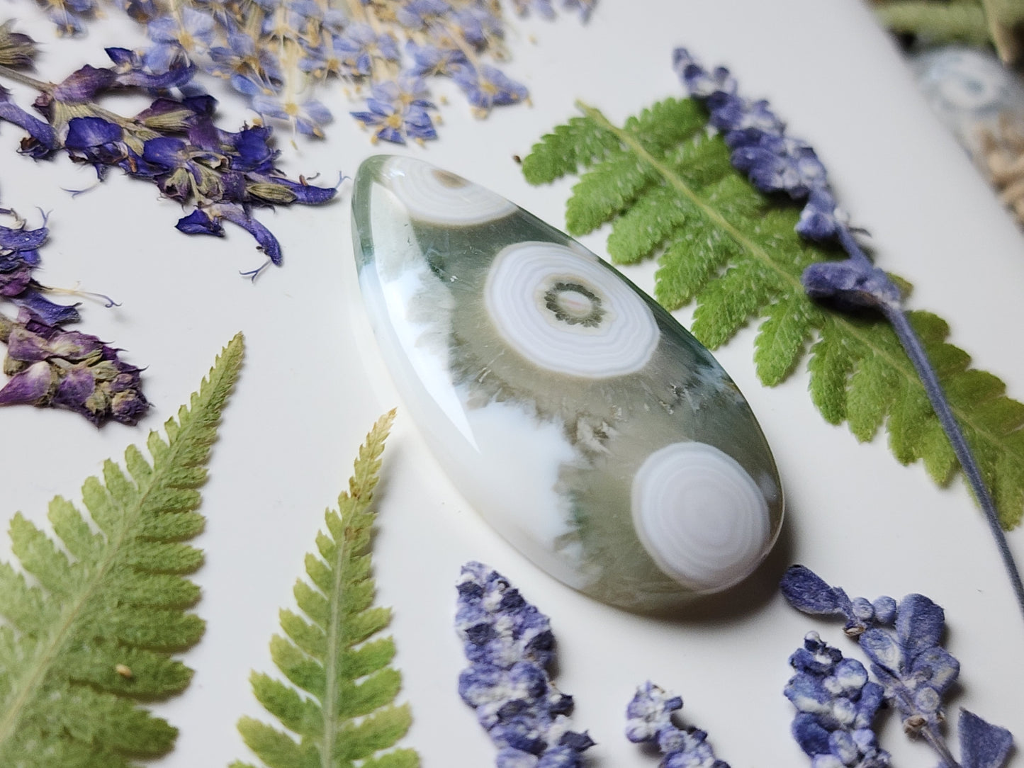 Ocean jasper