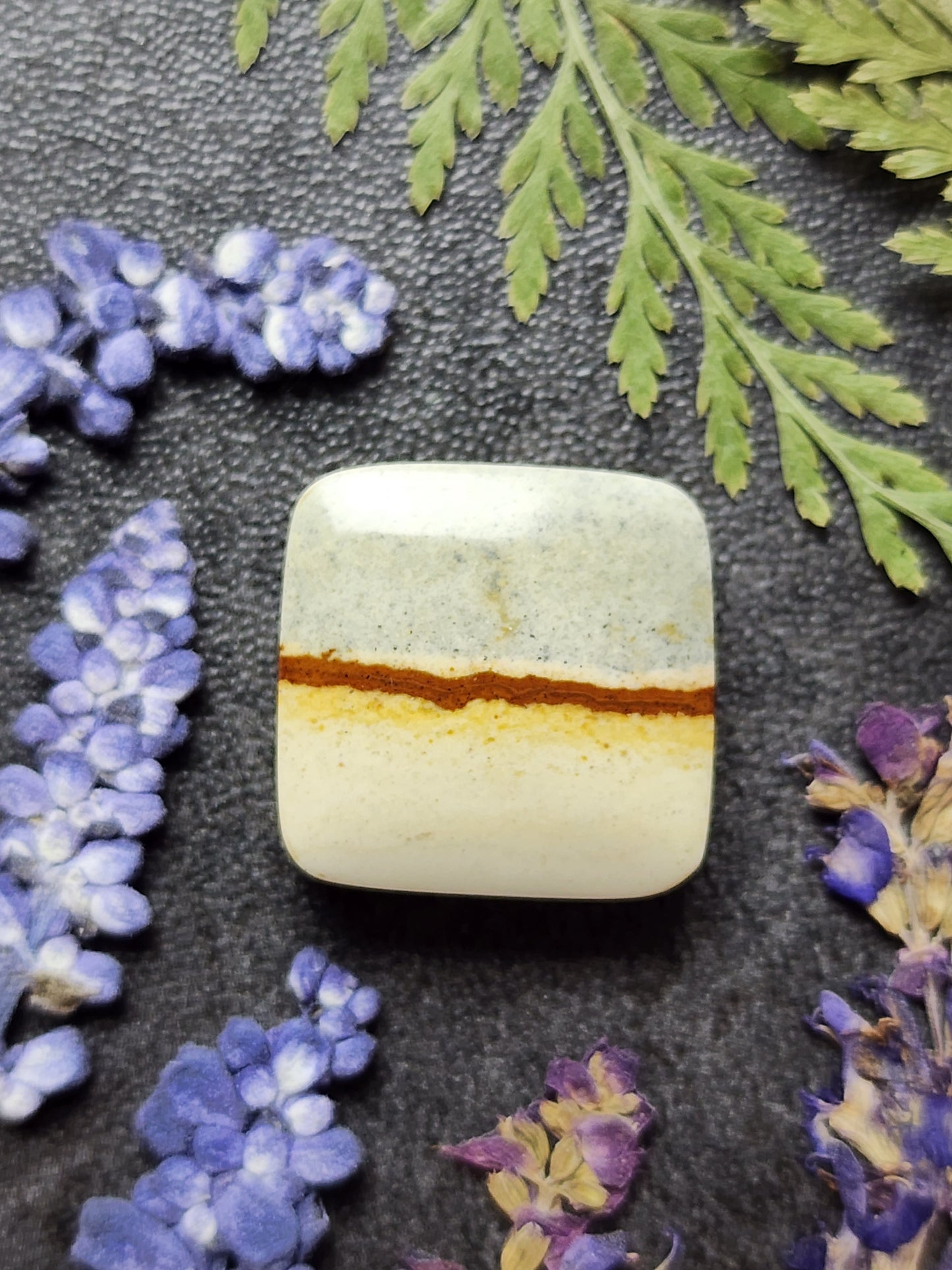 Chicken track picture jasper