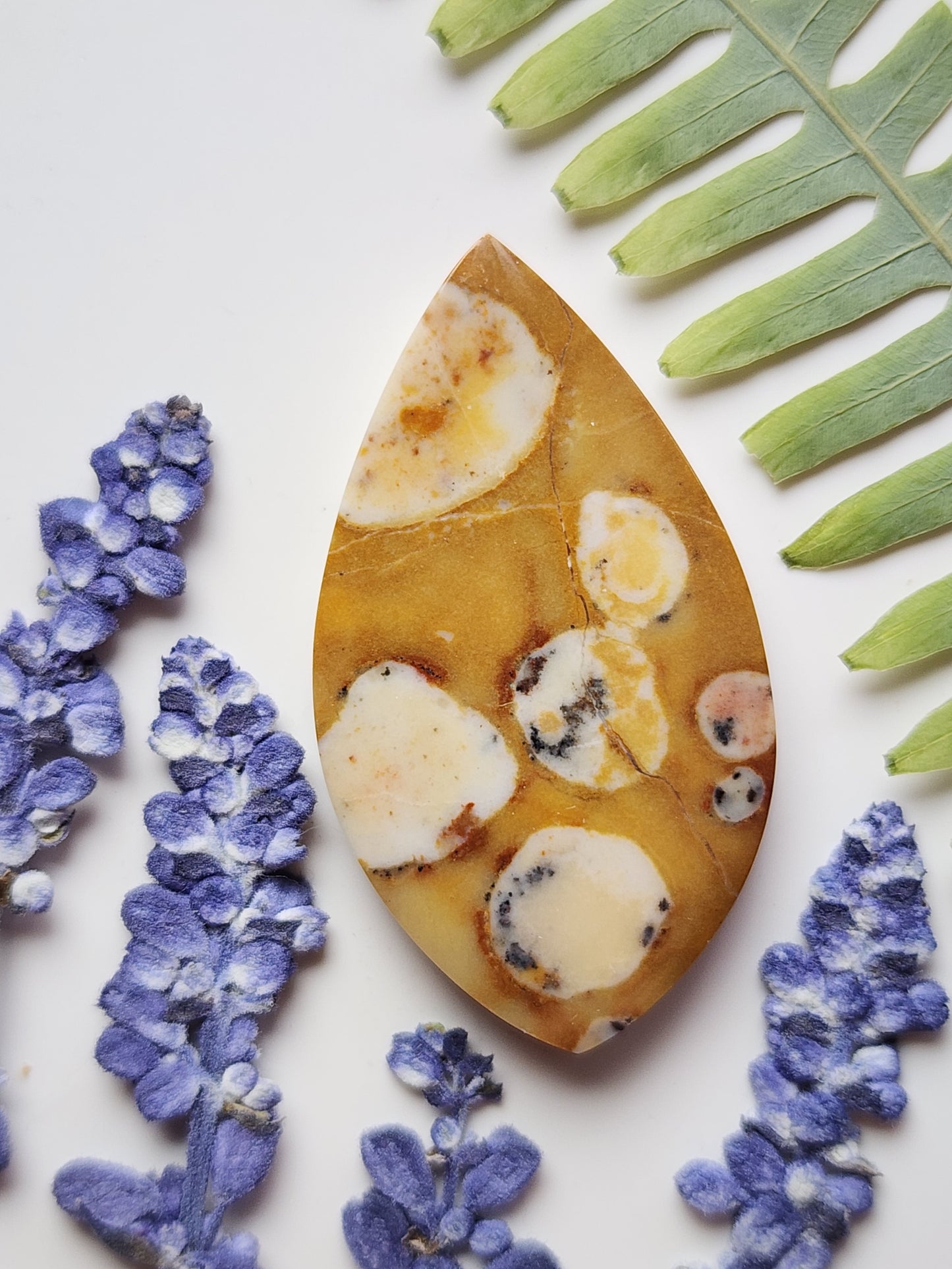 Spotted fawn jasper